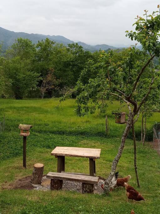 Casa Rural El Cotu En Cangas De Onis Luaran gambar