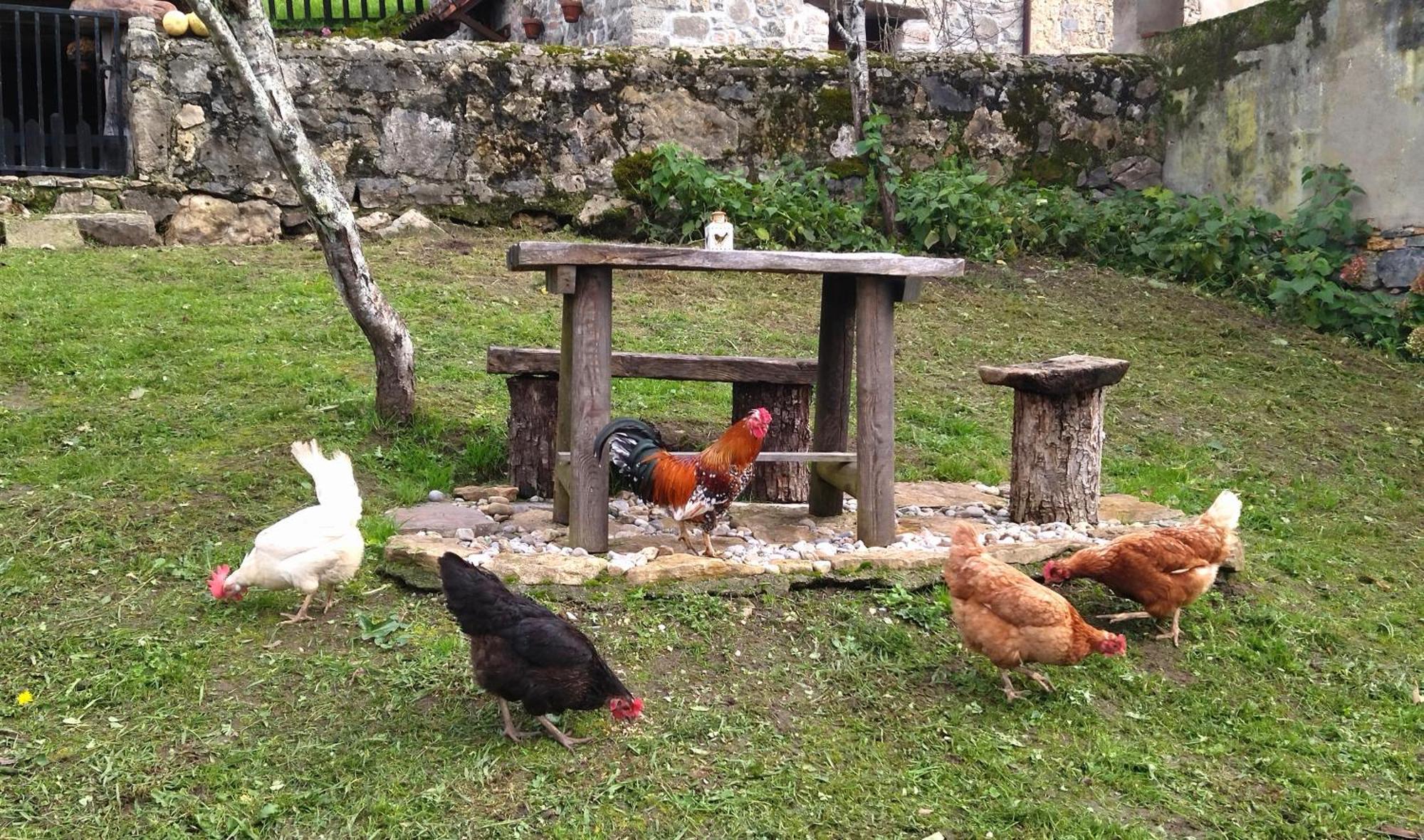 Casa Rural El Cotu En Cangas De Onis Luaran gambar